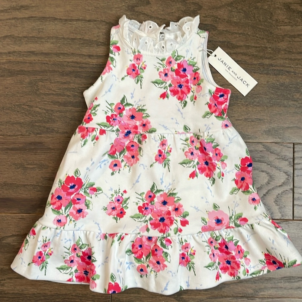 Janie and Jack, floral dress, size 12-18 months
